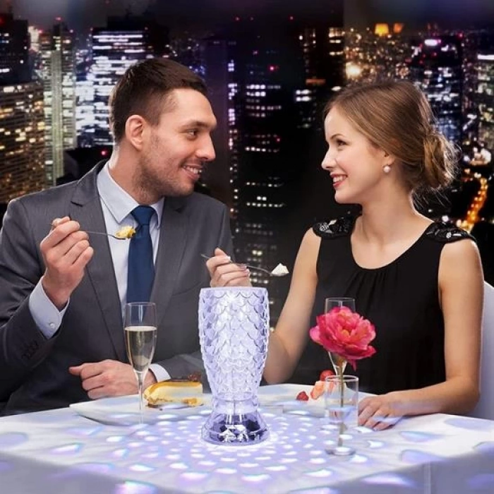 Balık Süzgeç Model USB Şarjlı Kumandalı 16Farklı Işık Modlu Masa Üstü Kristal Akrilik Led (5365)