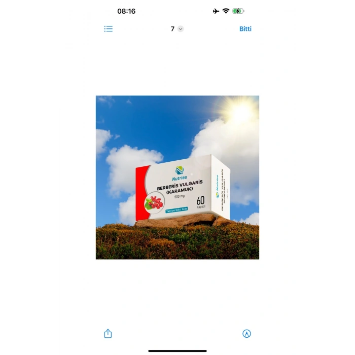 Berberis Vulgaris Takviye Edici Gıda 60’lı – 2’li Avantaj Paketi