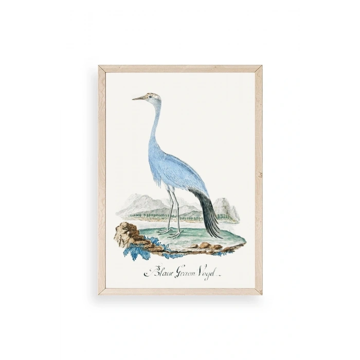 Blaue G. Voyel Ahşap Çerçeveli Tablo 17 x 23