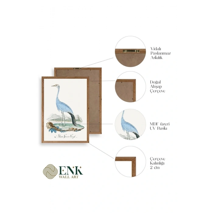 Blaue G. Voyel Ahşap Çerçeveli Tablo 17 x 23