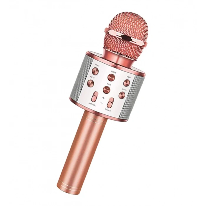 Bluetooth Karaoke Mikrofon (5365)