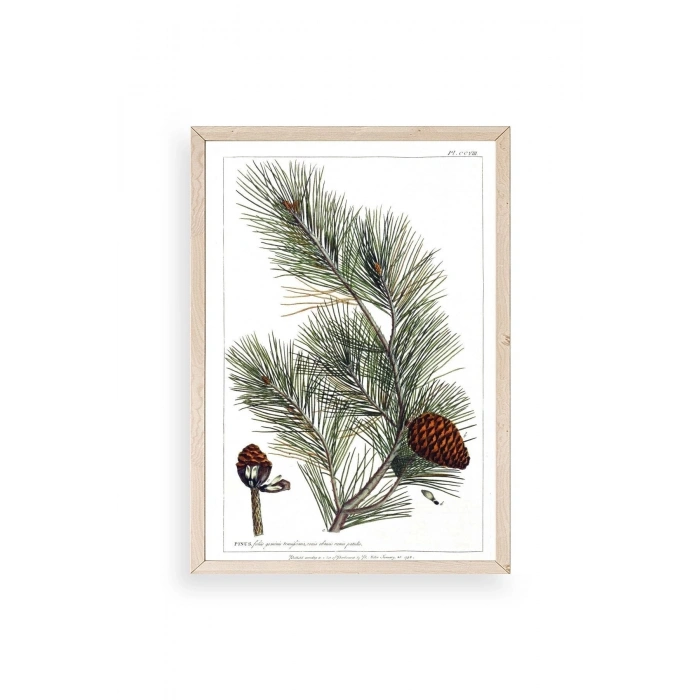 Çam Ahşap Çerçeveli Tablo 17 x 23