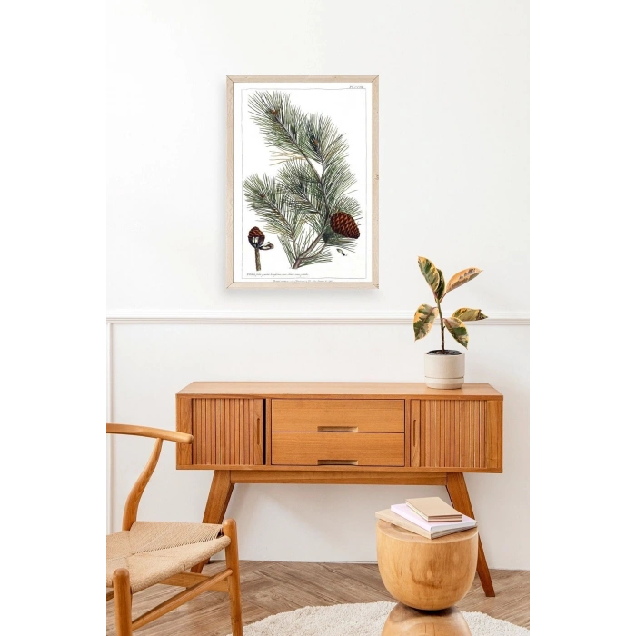 Çam Ahşap Çerçeveli Tablo 17 x 23