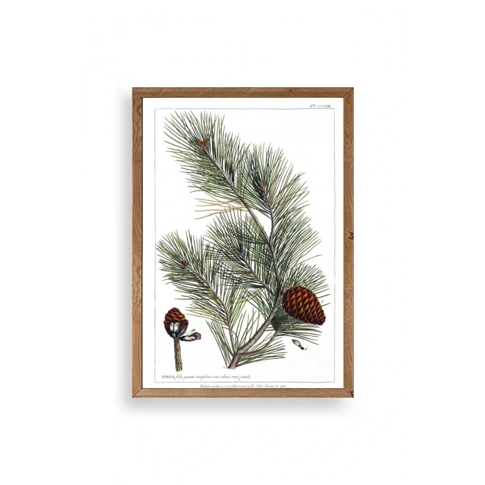 Çam Ahşap Çerçeveli Tablo 23 x 30