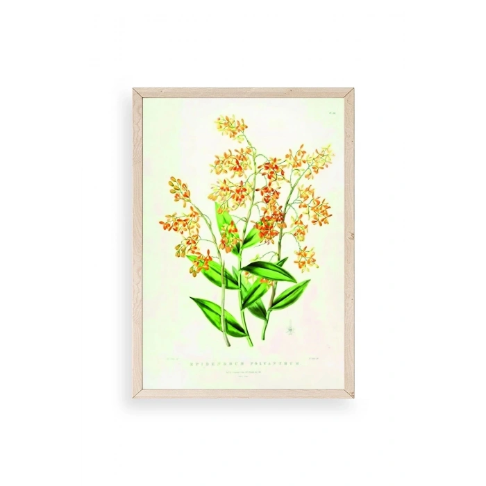 Çiçek Ahşap Çerçeveli Tablo 23 x 30