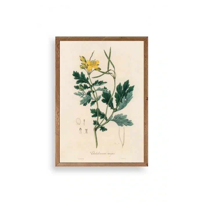 Çiçek Ahşap Çerçeveli Tablo 23 x 30