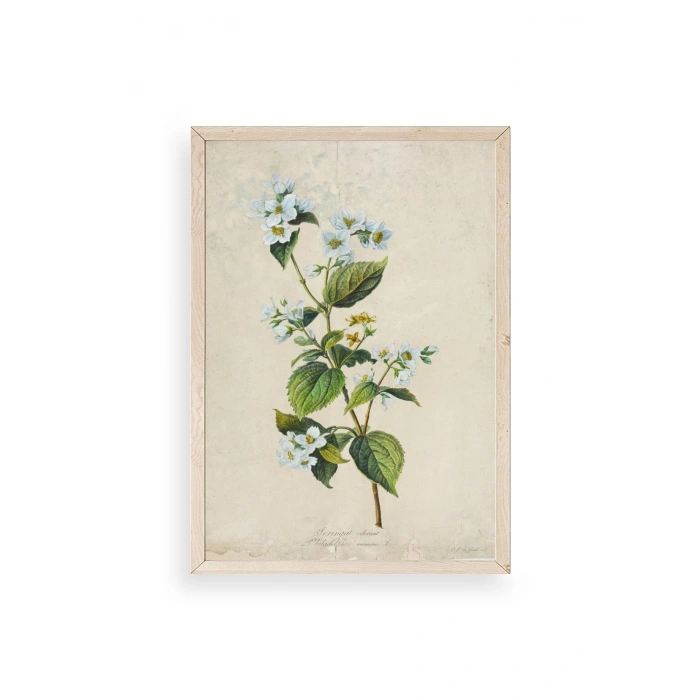 Çiçek Ahşap Çerçeveli Tablo 30 x 42