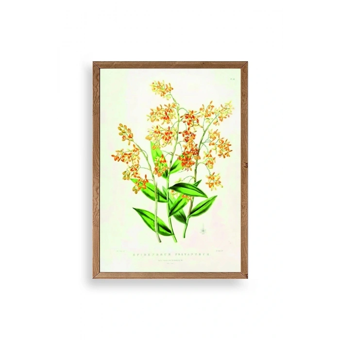 Çiçek Ahşap Çerçeveli Tablo 30 x 42