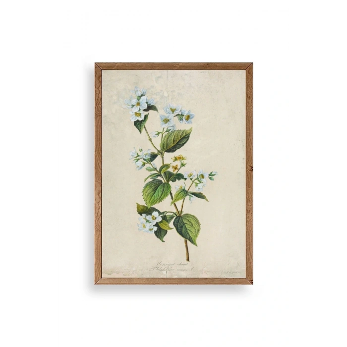 Çiçek Ahşap Çerçeveli Tablo 30 x 42