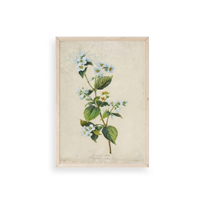 Çiçek Ahşap Çerçeveli Tablo 50 x 70