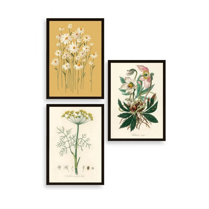 Çiçek Üçlü Ahşap Çerçeveli Tablo 23 x 30