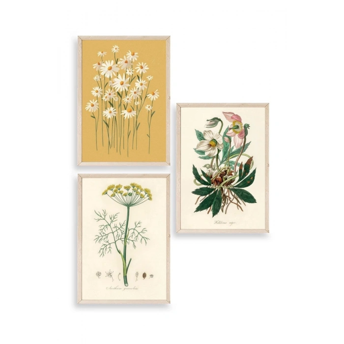 Çiçek Üçlü Ahşap Çerçeveli Tablo 23 x 30