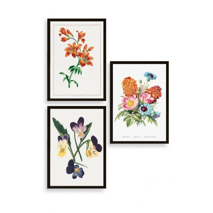 Çiçek Üçlü Ahşap Çerçeveli Tablo 30 x 40