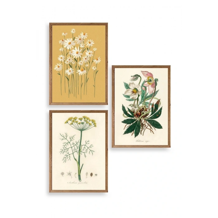 Çiçek Üçlü Ahşap Çerçeveli Tablo 30 x 40