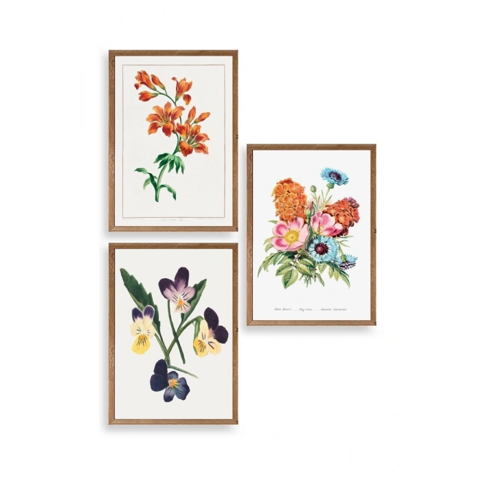 Çiçek Üçlü Ahşap Çerçeveli Tablo 40 x 60