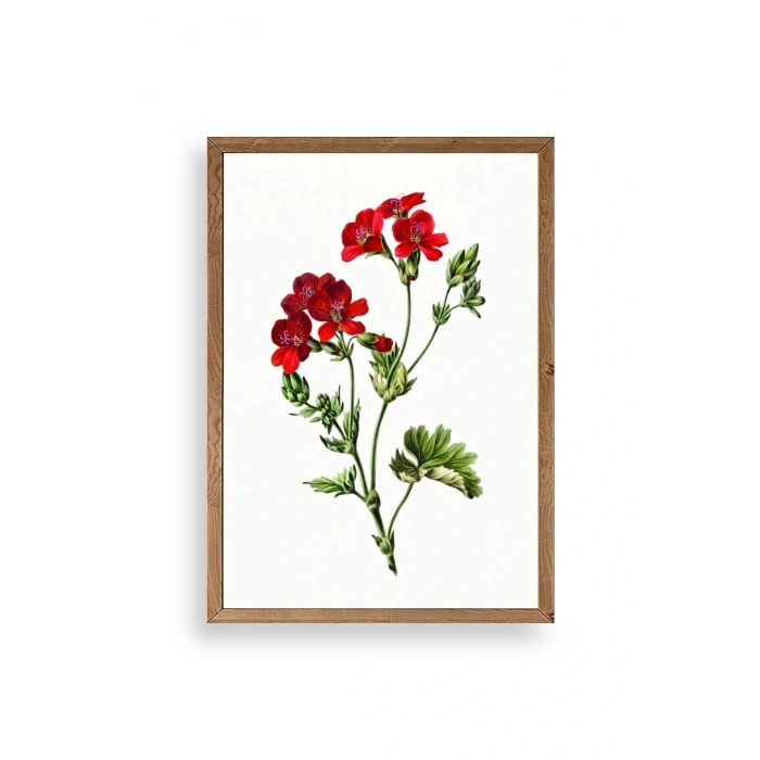 Çiçekler Ahşap Çerçeveli Tablo 17 x 23