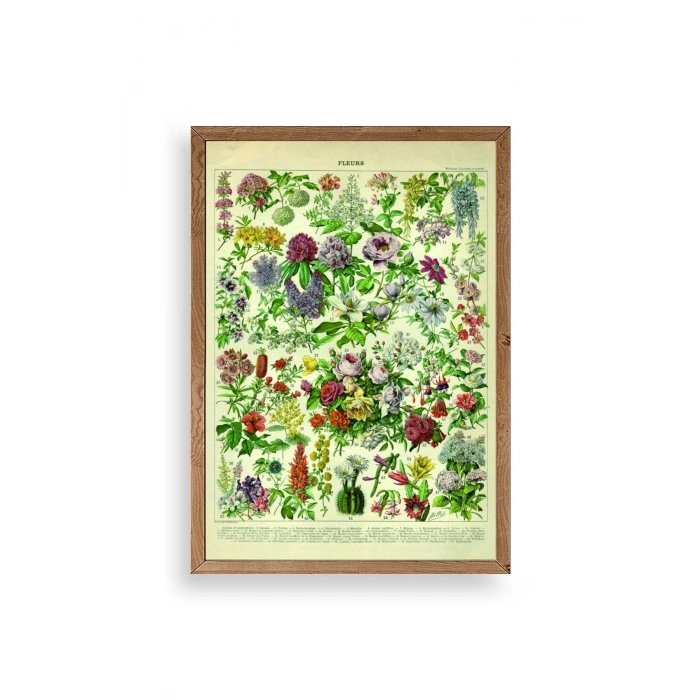 Çiçekler Ahşap Çerçeveli Tablo 30 x 42