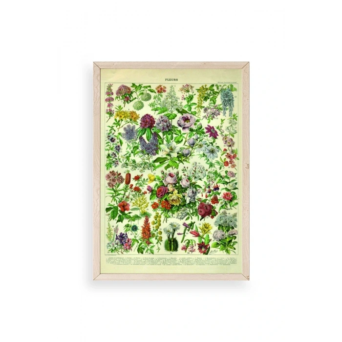 Çiçekler Ahşap Çerçeveli Tablo 30 x 42