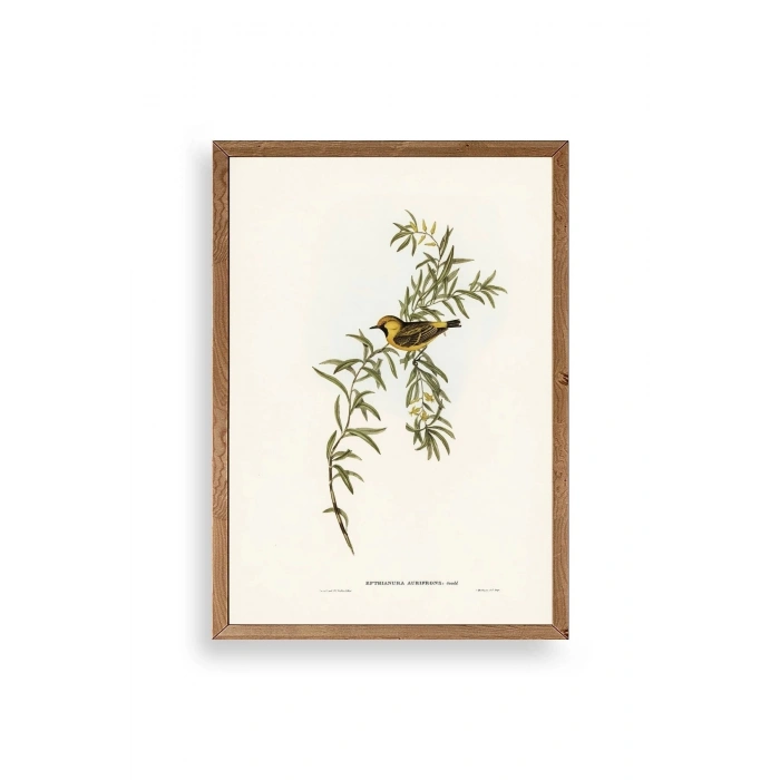 Daldaki Kuş Ahşap Çerçeveli Tablo 23 x 30