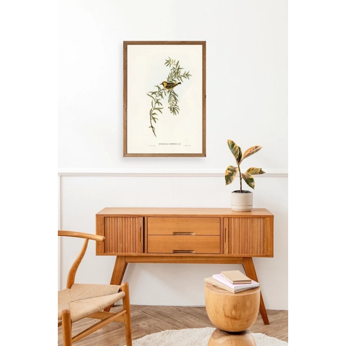 Daldaki Kuş Ahşap Çerçeveli Tablo 23 x 30