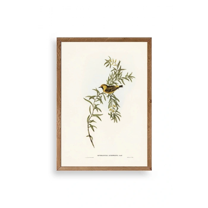 Daldaki Kuş Ahşap Çerçeveli Tablo 30 x 42