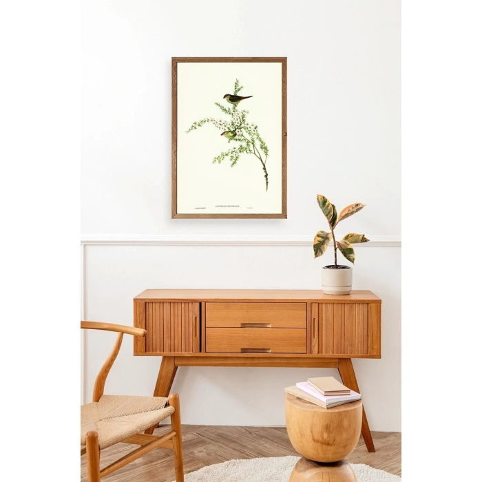 Daldaki Kuş Ahşap Çerçeveli Tablo 50 x 70