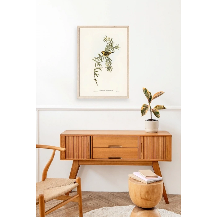 Daldaki Kuş Ahşap Çerçeveli Tablo 50 x 70