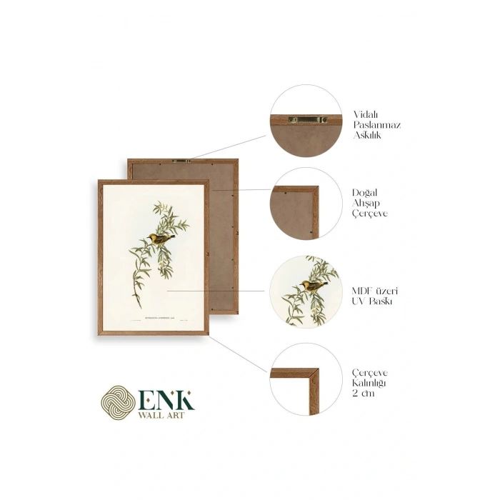 Daldaki Kuş Ahşap Çerçeveli Tablo 50 x 70