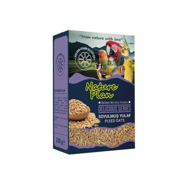 Delicious Soyulmuş Yulaf 250 Gr
