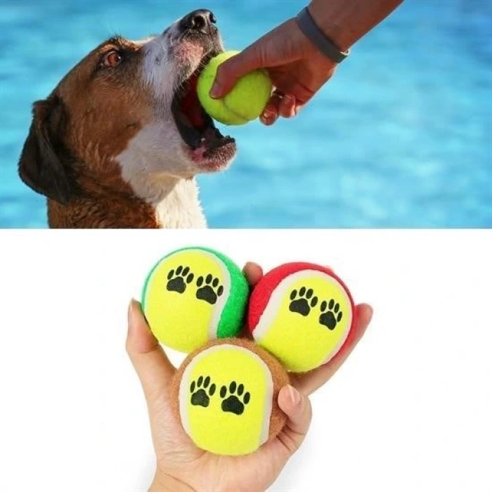 Durukar®  3lü Renkli Desenli Tenis Topu Kedi Köpek Oyuncağı