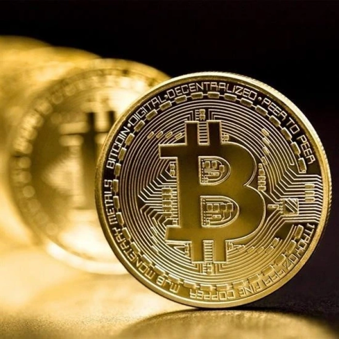 Durukar® Bitcoin Madeni Hatıra Parası Madeni Bitcoin Hediye Sikke Para