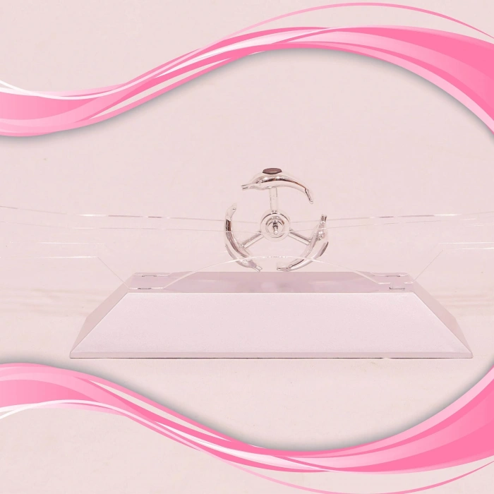 Durukar® Dekoratif Masa Üstü Obje Manyetik Kinetik Orbital Dönen Yunuslar