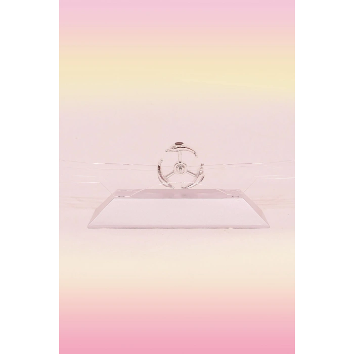 Durukar® Dekoratif Masa Üstü Obje Manyetik Kinetik Orbital Dönen Yunuslar