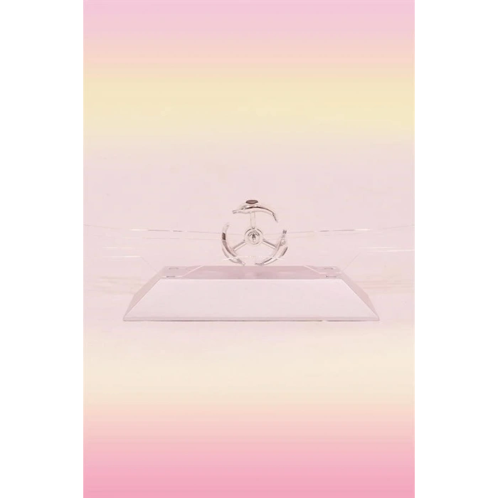 Durukar® Dekoratif Masa Üstü Obje Manyetik Kinetik Orbital Dönen Yunuslar