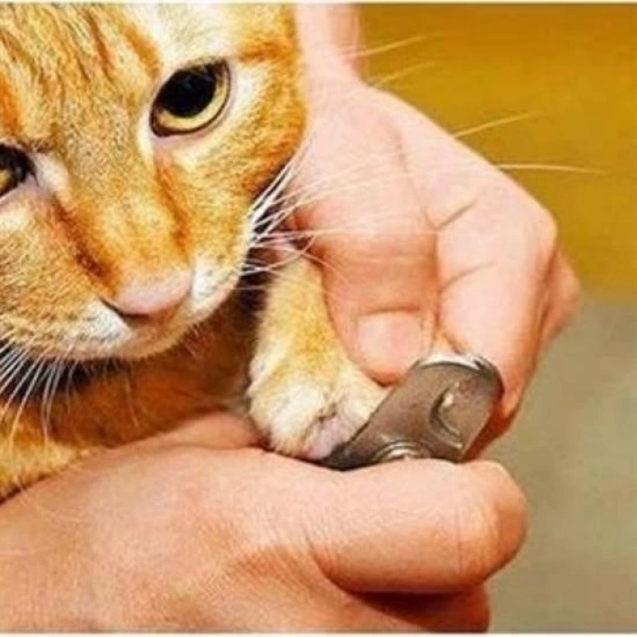 Durukar® Evcil Hayvan Tırnak Makası Ve Törpü Seti Manikür Pedikür Pati Bakım Aleti Kaymaz Sap