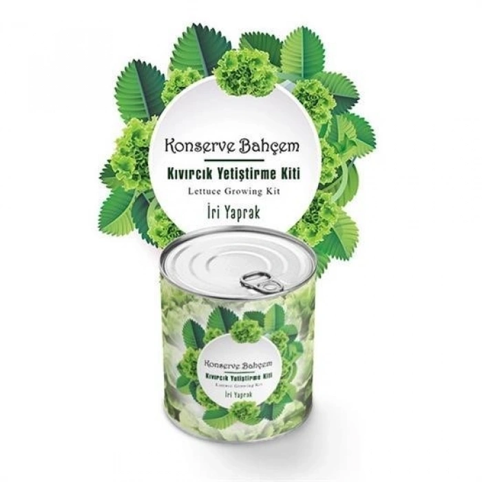 Durukar® Canned Garden At Home Curly Leaf Lettuce Growing Kit in a Can