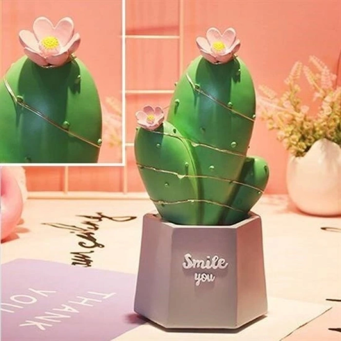 Durukar® LED Lighted Cactus Figurine Home Decoration and Gift LED Lighting