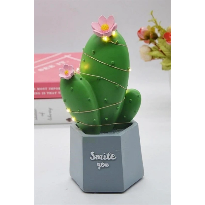Durukar® LED Lighted Cactus Figurine Home Decoration and Gift LED Lighting