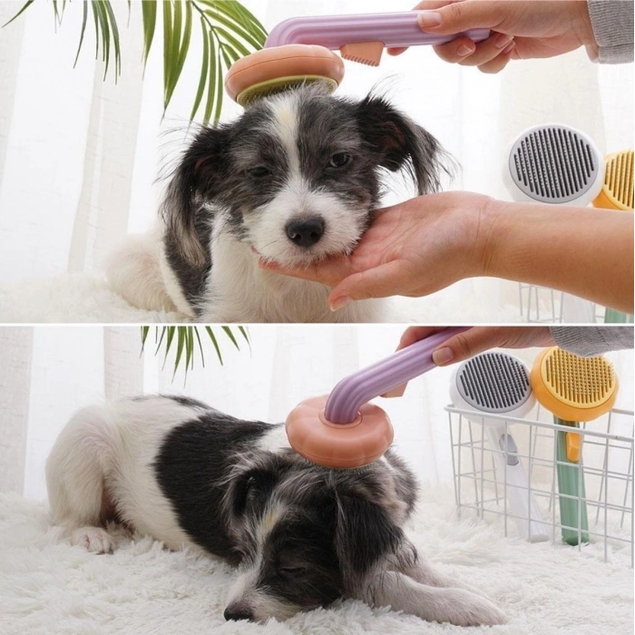 Durukar Plastik Yeşil Evcil Hayvan Bakım  Pet Fırçası Çok Amaçlı Pet Fırçası Yeşil