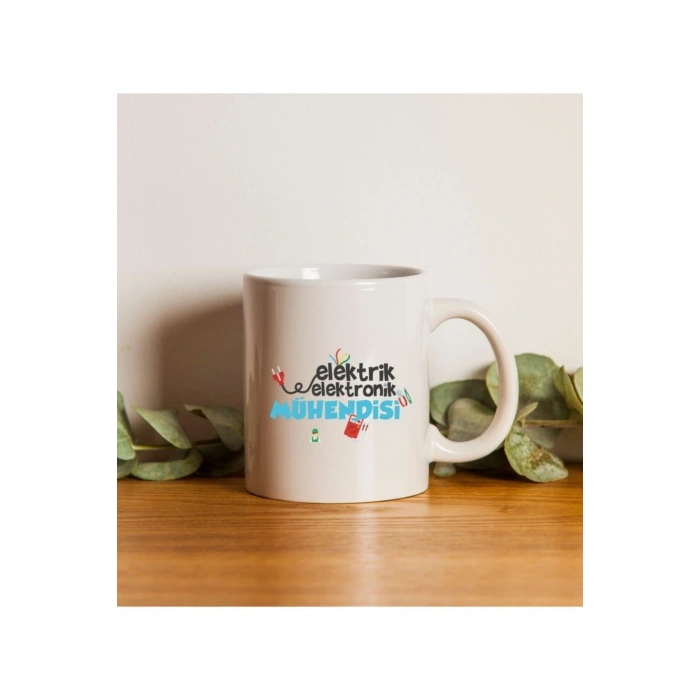 Elektrik Elektronik Mühendisi