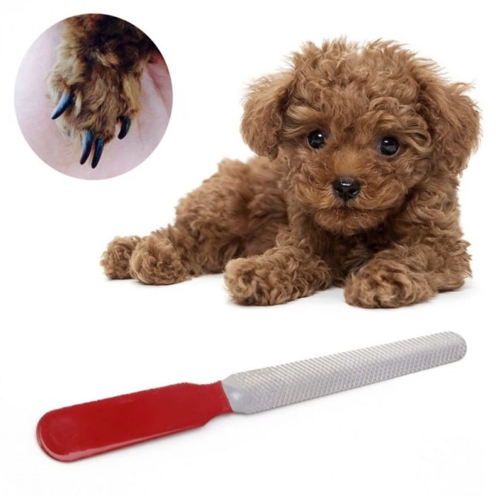 Evcil Hayvan Tırnak Makası Ve Törpü Seti Manikür Pedikür Pati Bakım Aleti Kaymaz Sap (5365)