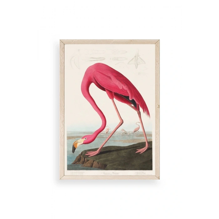 Flamingo Ahşap Çerçeveli Tablo 23 x 30