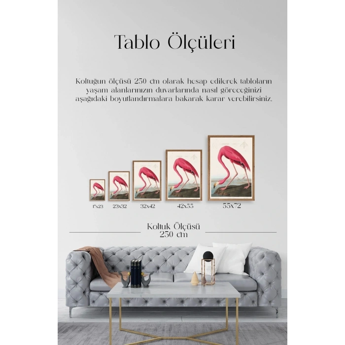 Flamingo Ahşap Çerçeveli Tablo 50 x 70