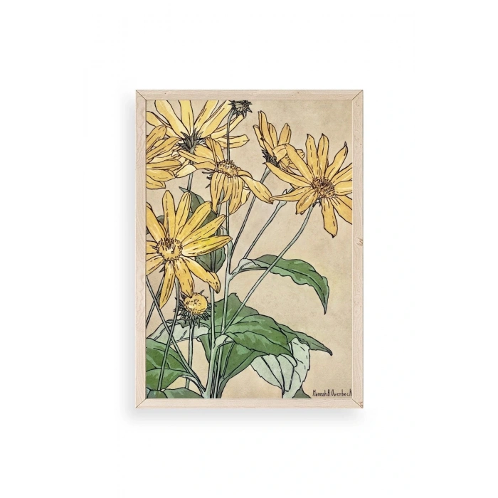 Hannah Borger Ahşap Çerçeveli Tablo 23 x 30