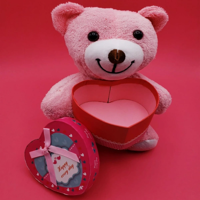 Gift Pink Boxed Teddy Bear