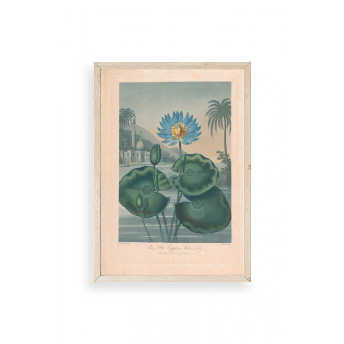 Joseph Constantine Ahşap Çerçeveli Tablo 50 x 70