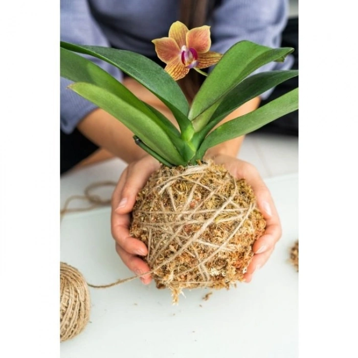 Jut İpi 100 Gr Doğal İp, Çuval İp, Hasır İp, Hasır Renk 1 Adet