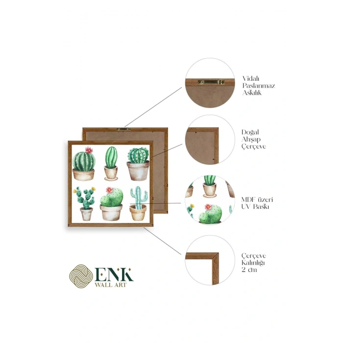 Kaktüs Ahşap Çerçeveli Tablo 50 x 50