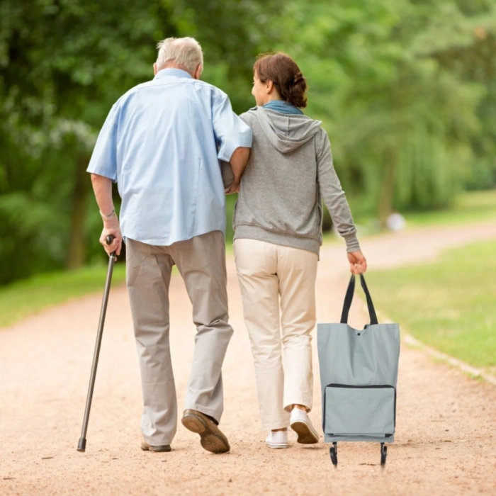 Katlanabilir Tekerlekli Market Çantası,Çok Amaçlı Pazar Arabası,Portatif Alışveriş Bez Torbası (5365)