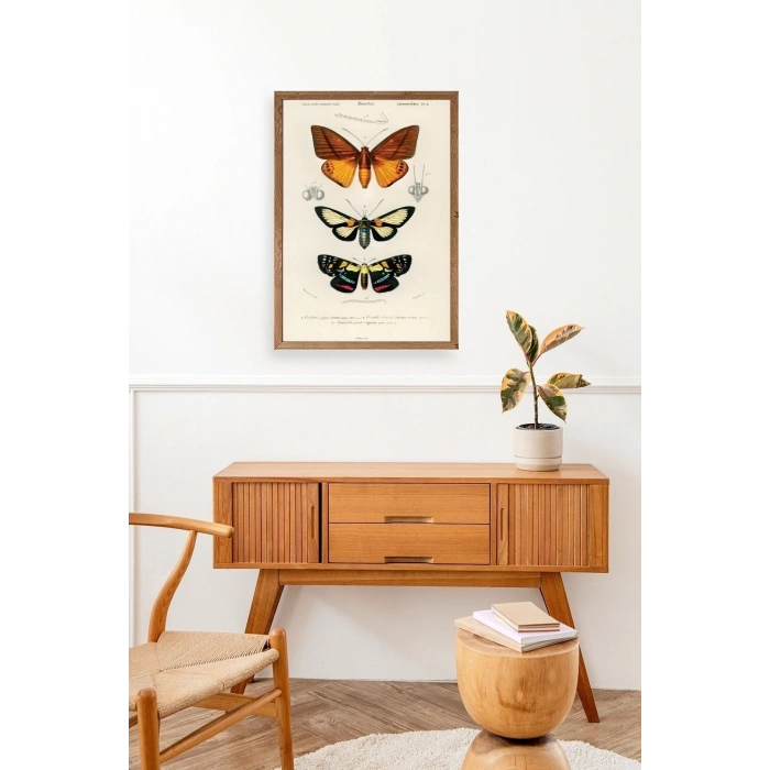 Kelebekler Ahşap Çerçeveli Tablo 30 x 42